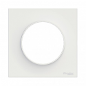 SCHNEIDER ELECTRIC - WHITE cover plate for ODACE switch