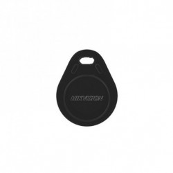Hikvision DS-PT-M1 - Badge Tag porte clés noir