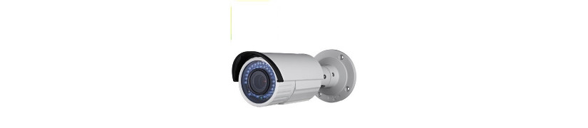 Cámara de vídeo vigilancia.Domo de vigilancia de vídeo.